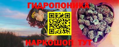 тгк Краснокаменск