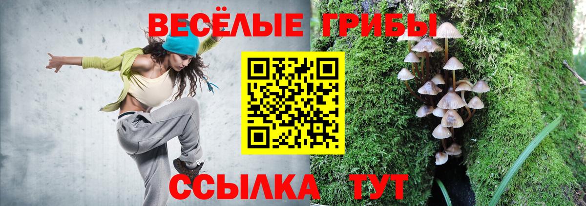 Дубна  Галлюциногенные грибы мицелий  Галлюциногенные грибы ЛСД  Вход с VPN 