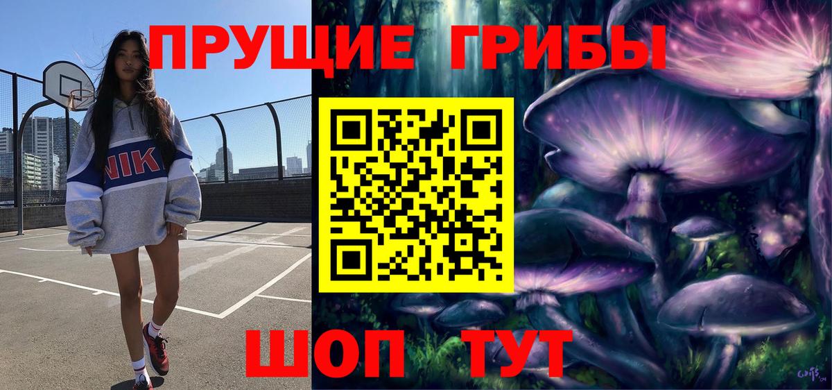 Псилоцибиновые грибы GOLDEN TEACHER Дубна